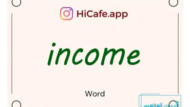 Meaning and usage of income word