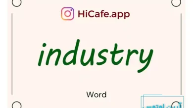 Meaning and usage of industry word