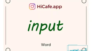Meaning and usage of input word