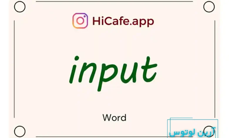 Meaning and usage of input word