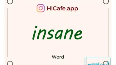 Meaning and usage of insane word