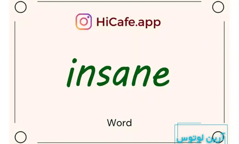 Meaning and usage of insane word