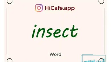 Meaning and usage of insect word