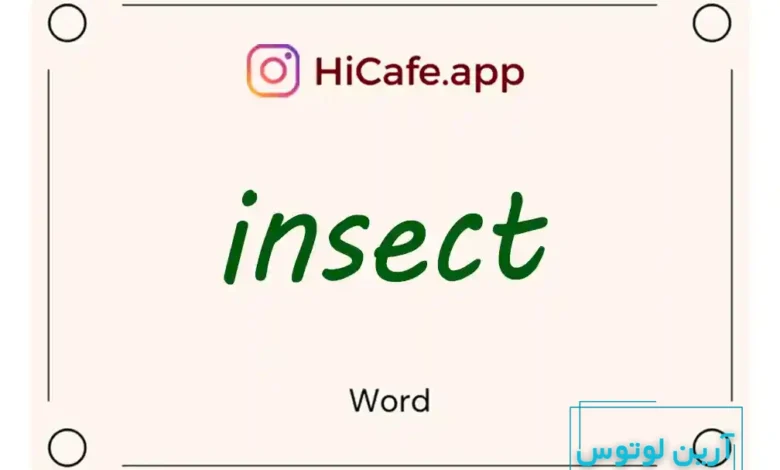 Meaning and usage of insect word
