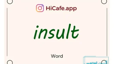 Meaning and usage of insult word