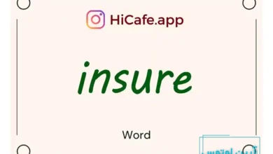 Meaning and usage of insure word