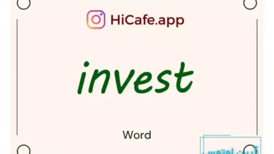 Meaning and usage of invest word