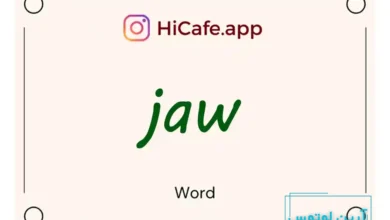Meaning and usage of jaw word