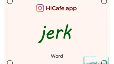 Meaning and usage of jerk word