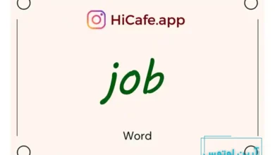 Meaning and usage of job word