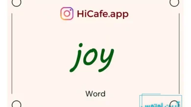 Meaning and usage of joy word