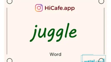 Meaning and usage of juggle word