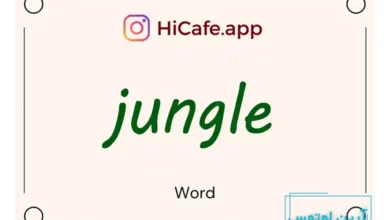 Meaning and usage of jungle word