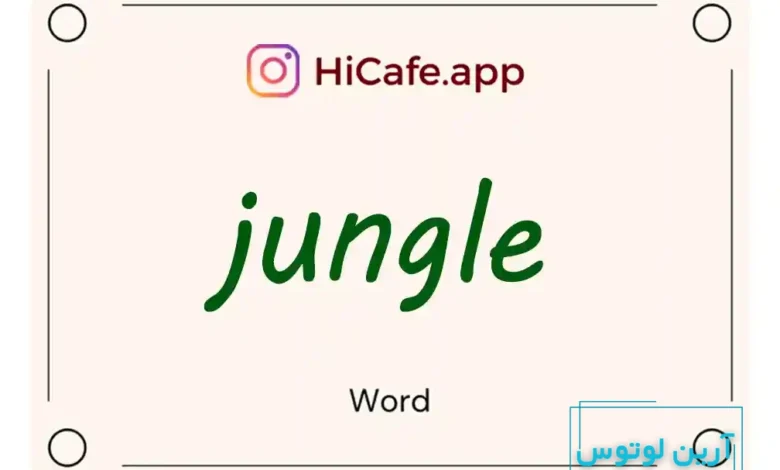 Meaning and usage of jungle word