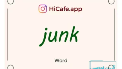 Meaning and usage of junk word