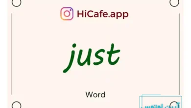 Meaning and usage of just word