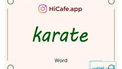 Meaning and usage of karate word
