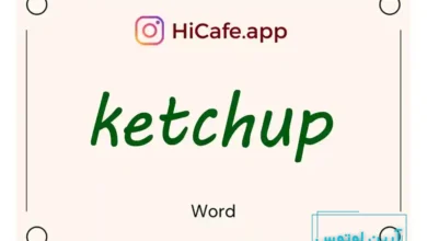 Meaning and usage of ketchup word