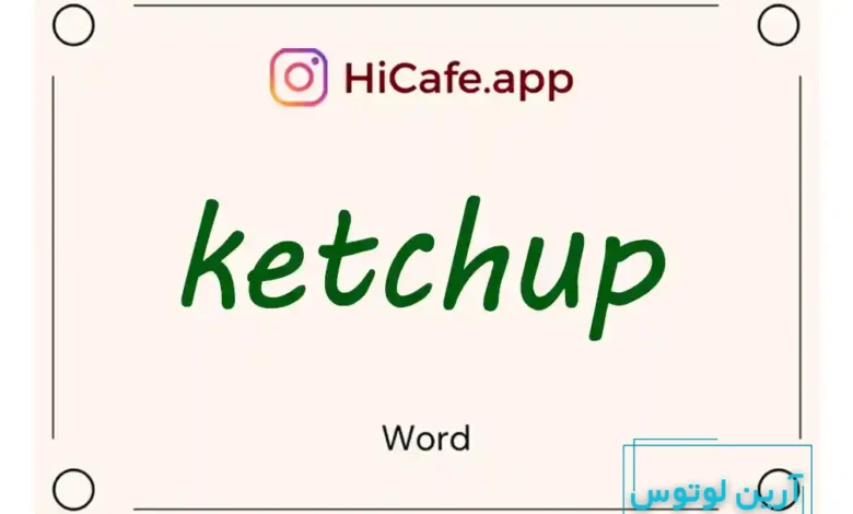 Meaning and usage of ketchup word