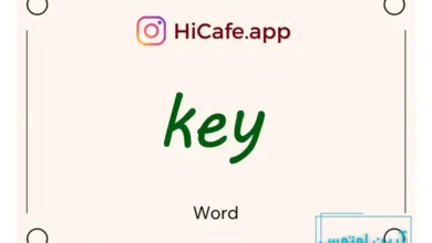 Meaning and usage of key word