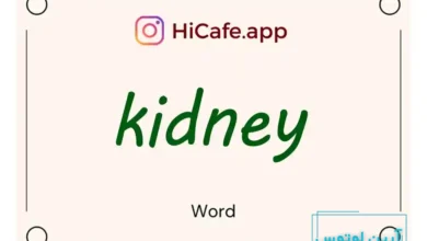 Meaning and usage of kidney word