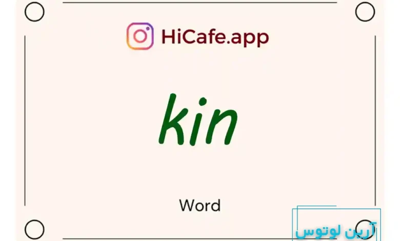 Meaning and usage of kin word
