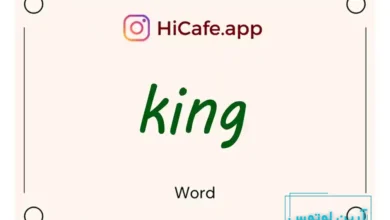 Meaning and usage of king word