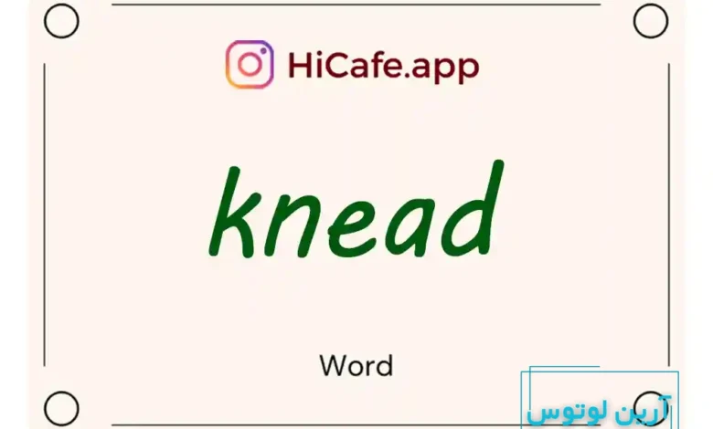 Meaning and usage of knead word