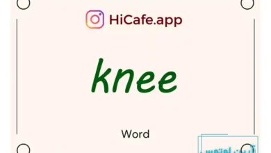 Meaning and usage of knee word