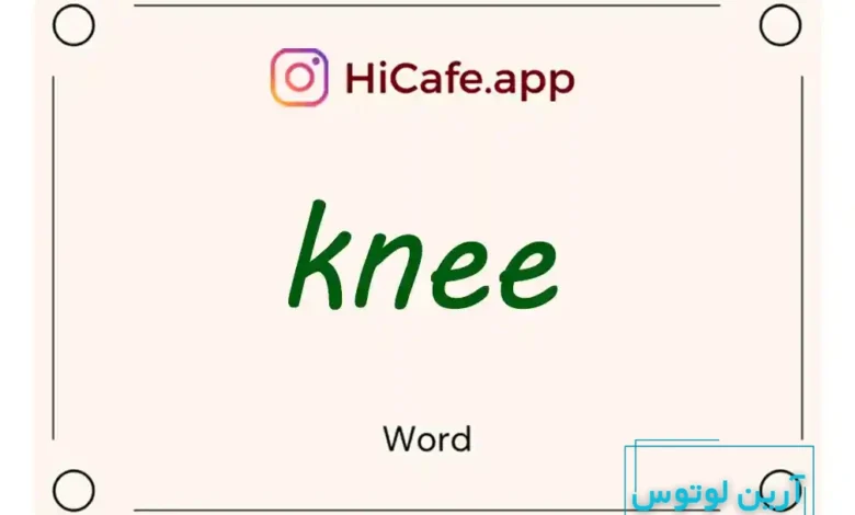 Meaning and usage of knee word
