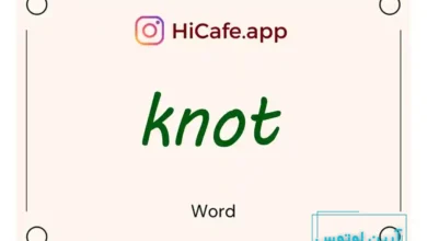Meaning and usage of knot word