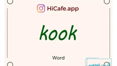 Meaning and usage of kook word