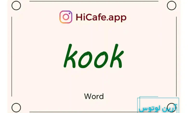 Meaning and usage of kook word
