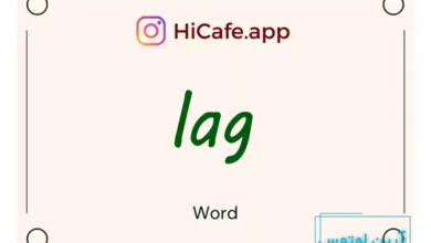 Meaning and usage of lag word
