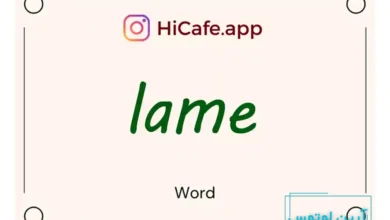 Meaning and usage of lame word