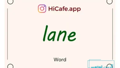 Meaning and usage of lane word