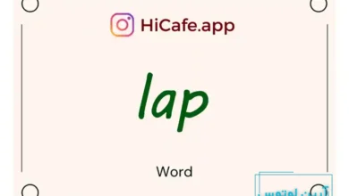 Meaning and usage of lap word