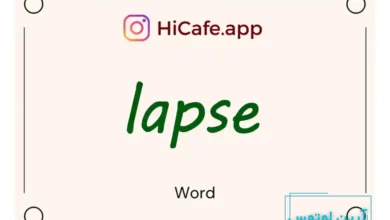 Meaning and usage of lapse word