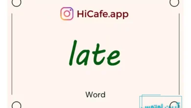 Meaning and usage of late word