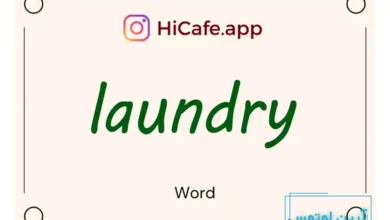 Meaning and usage of laundry word