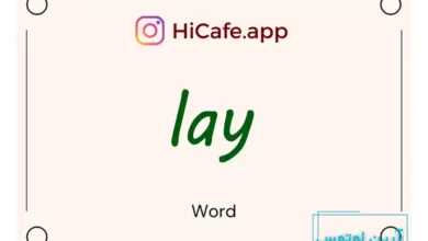 Meaning and usage of lay word