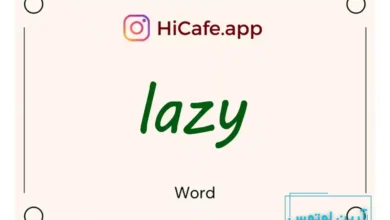 Meaning and usage of lazy word