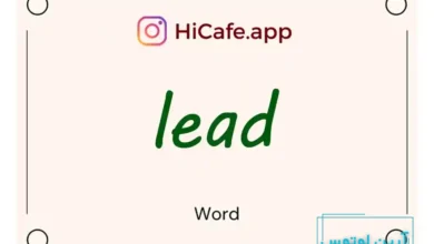 Meaning and usage of lead word