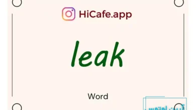 Meaning and usage of leak word