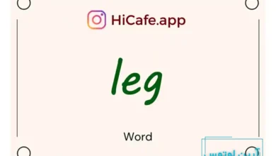 Meaning and usage of leg word