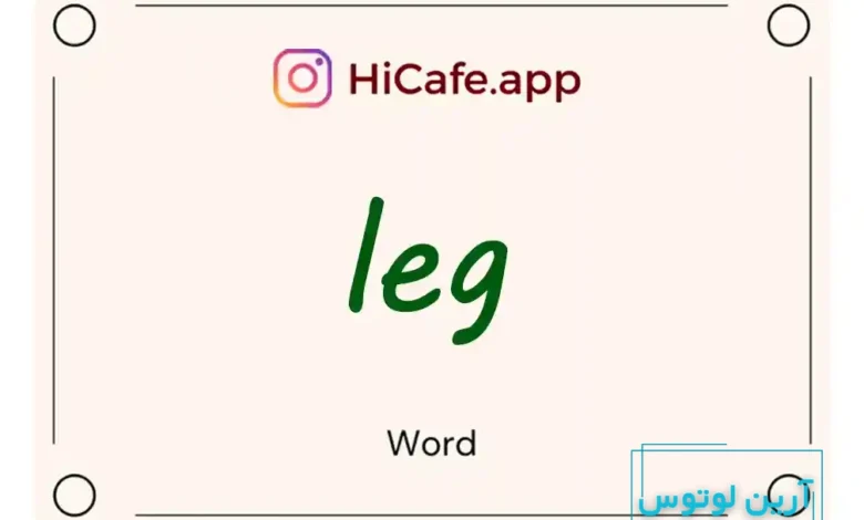 Meaning and usage of leg word