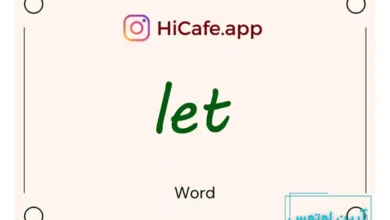 Meaning and usage of let word