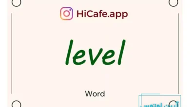 Meaning and usage of level word
