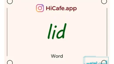 Meaning and usage of lid word
