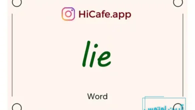 Meaning and usage of lie word